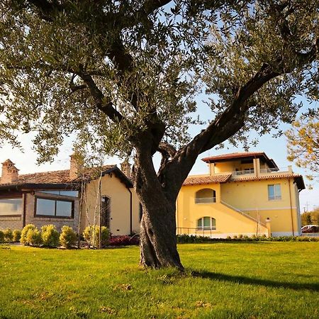 Agriturismo Biocore 2 - Colledoro Джулианова Екстериор снимка