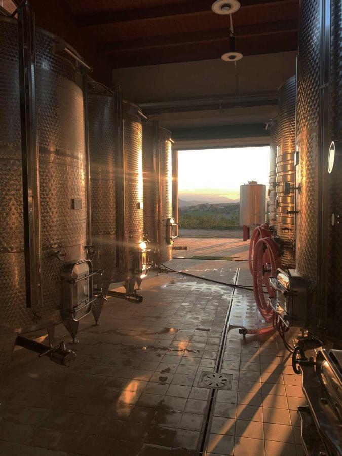 Agriturismo Biocore 2 - Colledoro Джулианова Екстериор снимка